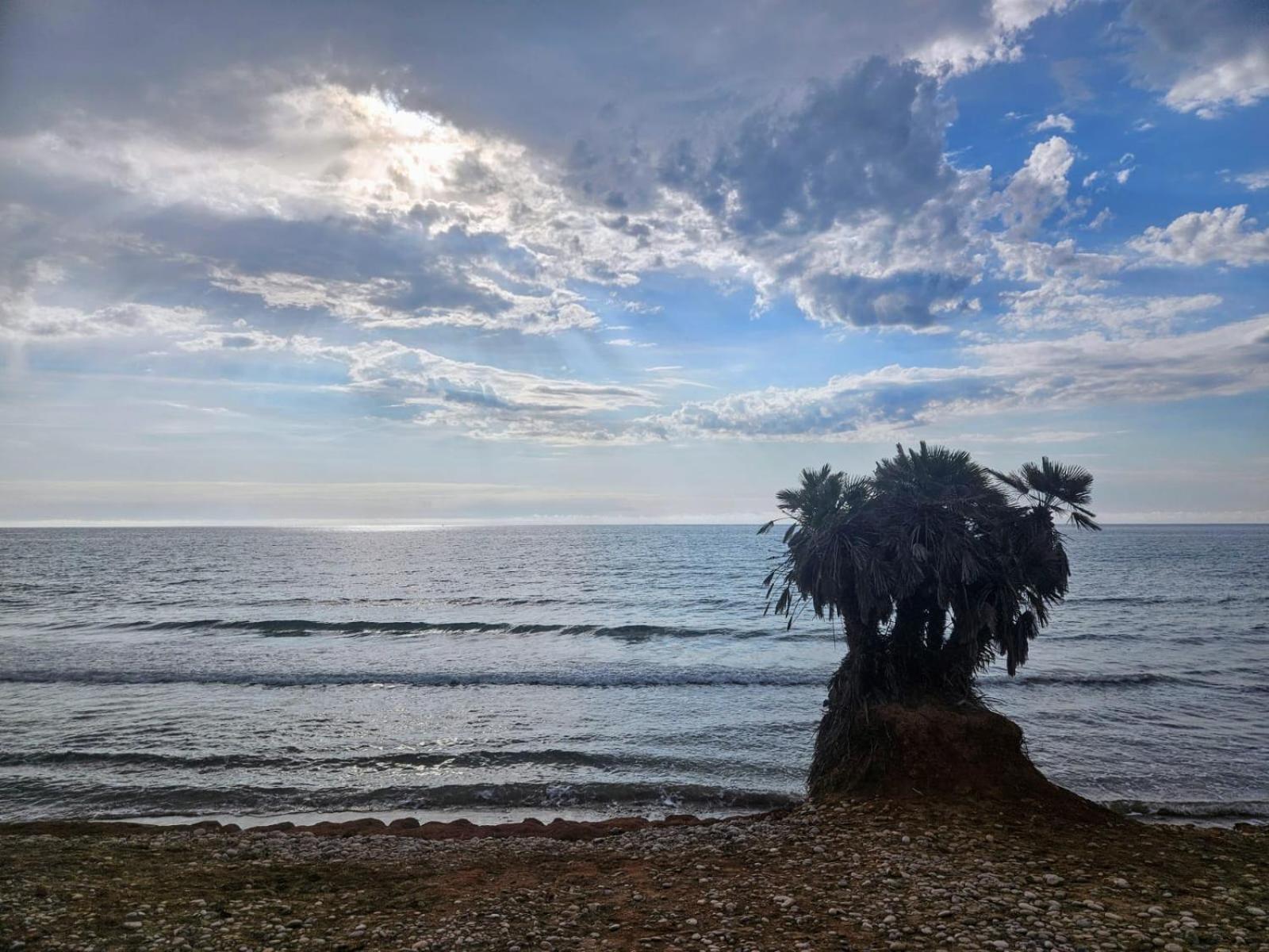 Mondrian Magic World - Sea View First Line Of The Beach 奥罗佩萨德尔马 外观 照片